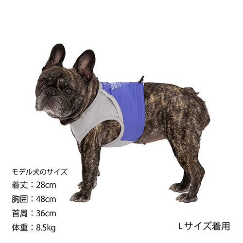 COOLING VEST　クーリングベスト【数量限定】