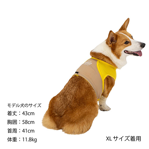 COOLING VEST　クーリングベスト【数量限定】