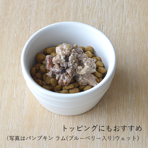 N&D パンプキン ワイルドボア(アップル入り)ウェット 成犬用