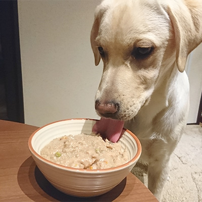 ナウ フレッシュ テトラパック　ターキーシチュー