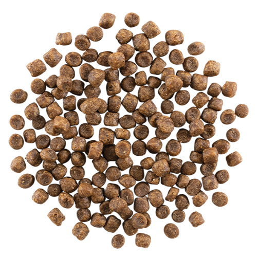 ナウ フレッシュ グッドグレービー グレインフリー　アダルトキャット　チキンレシピ