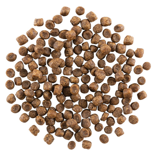 ナウ フレッシュ グッドグレービー グレインフリー　アダルトキャット　サーモンレシピ