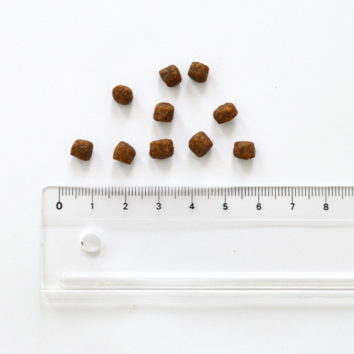 ナウ フレッシュ グッドグレービー グレインフリー　アダルトキャット　サーモンレシピ