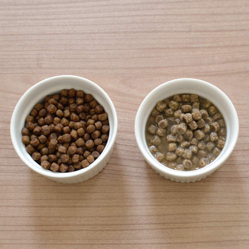 ナウ フレッシュ グッドグレービー グレインフリー　アダルトキャット　サーモンレシピ