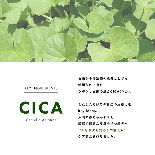 SPECIAL CICA TREATMENT For LONG