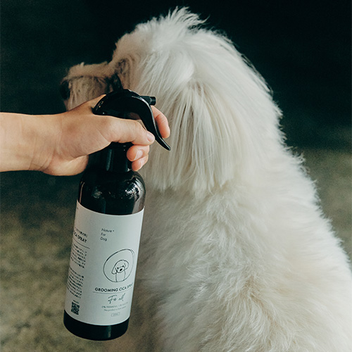 GROOMING CICA SPRAY NTFDNT92-00 | ネイチャーフォードッグ | GREEN
