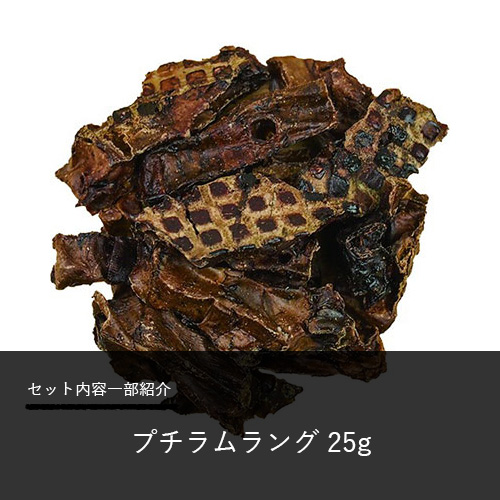 2023 Happy Halloween　こうもりセット【数量限定】