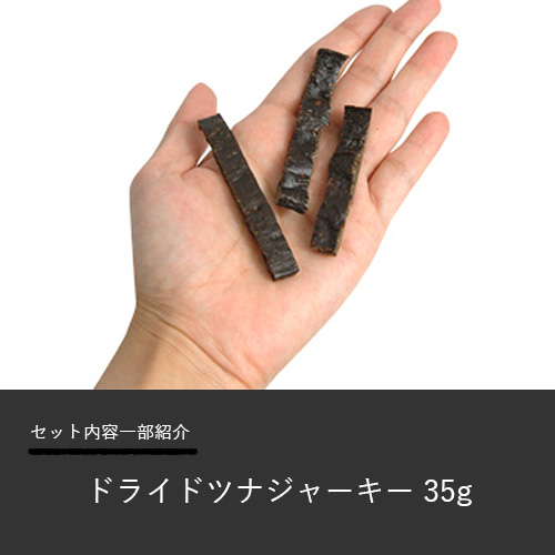 2023 Happy Halloween　こうもりセット【数量限定】