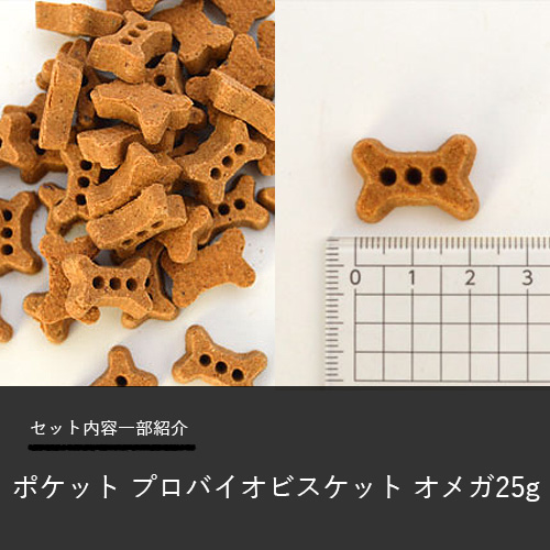 2023 Happy Halloween　トリックセット【数量限定】