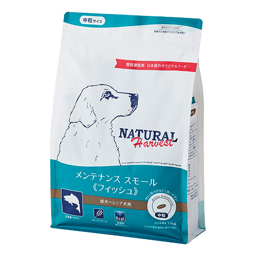 メンテナンススモール フィッシュ