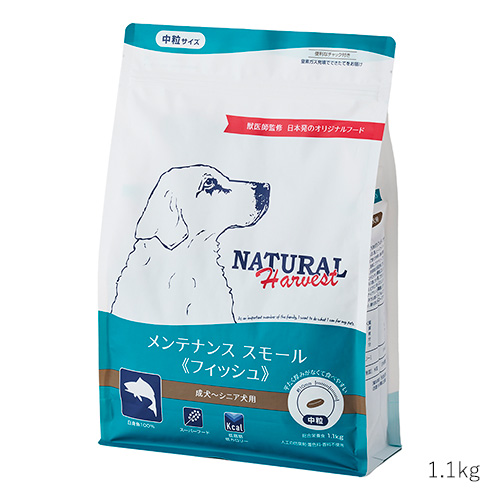 メンテナンススモール フィッシュ