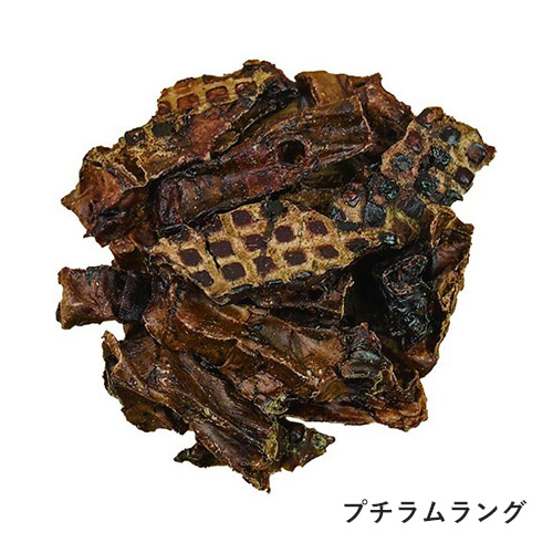 春のおでかけセット　さくら【数量限定】
