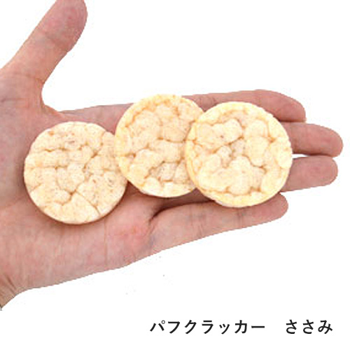 春のおでかけセット　さくら【数量限定】