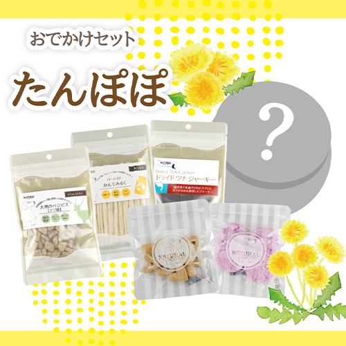 春のおでかけセット　たんぽぽ【数量限定】