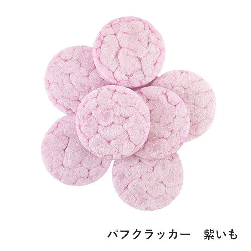 春のおでかけセット　たんぽぽ【数量限定】