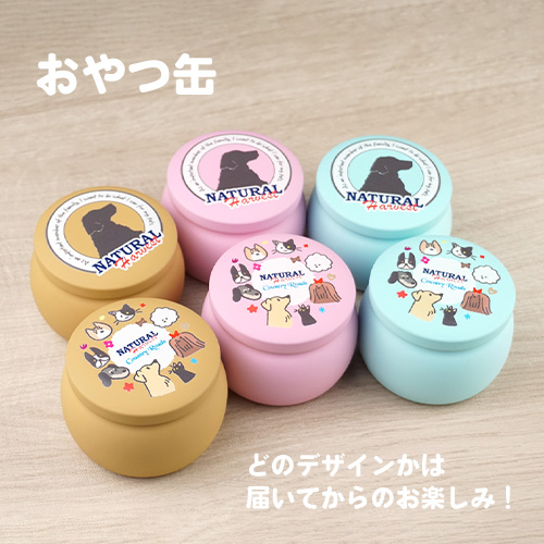 春のおでかけセット　たんぽぽ【数量限定】