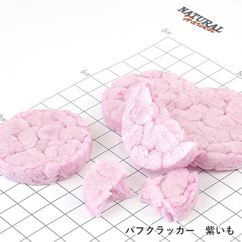 ハロウィンギフト2024　おばけセット【数量限定】