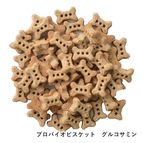 ハロウィンギフト2024　こうもりセット【数量限定】