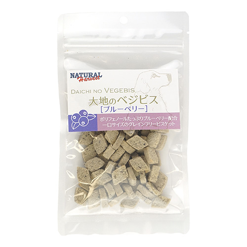 大地のベジビス　ブルーベリー