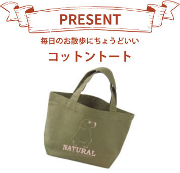 WINTER GIFT PACK 2018 たいぞうセット