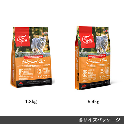 オリジン オリジナル キャット(旧キャット&キトゥン)