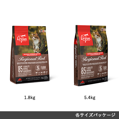 オリジン レジオナルレッド キャット | オリジン | GREEN DOG