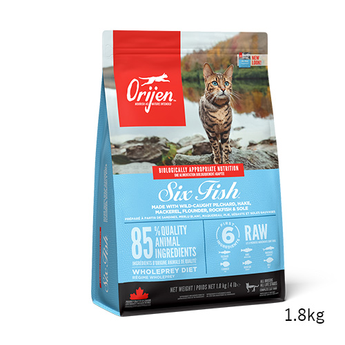 オリジン シックスフィッシュ キャット