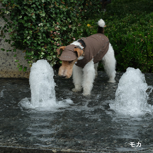 PEHOM（ペホム）　チルベストシャツ【数量限定】