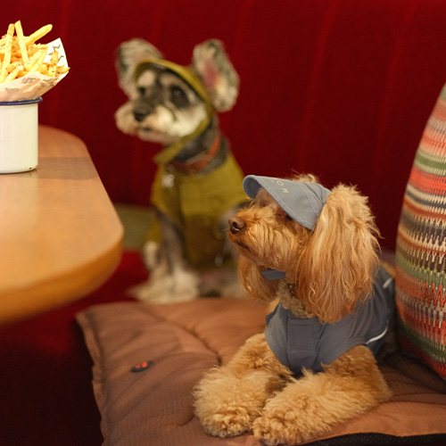 PEHOM（ペホム）　テニスハット【数量限定】