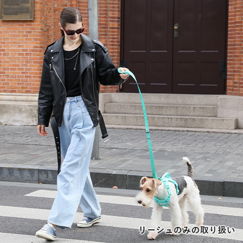 PEHOM（ペホム）　パテッドアクティブペットリード【数量限定】