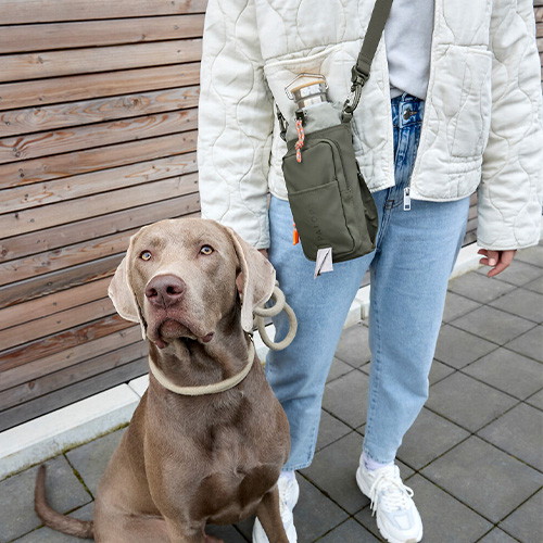 【PALOPA】Boudi(犬のおでかけ用ボトル&おやつポーチ)