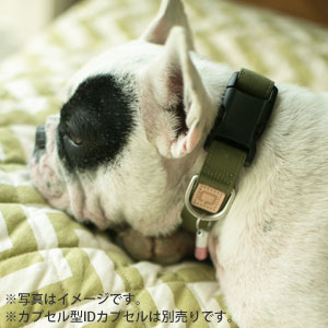 セボナーコレクション カラ―
