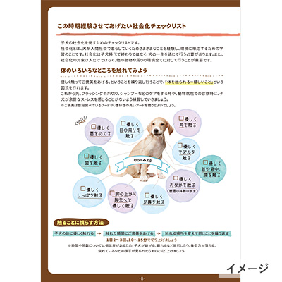 すくすく子犬BOX　おうちですくすく編（月齢2～3ヶ月）