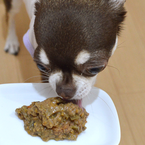 テラカニス　アリベット　ローファット　カンガルー