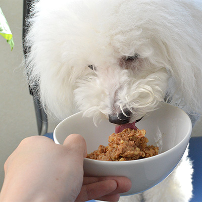 テラカニス　ピュア　チキン