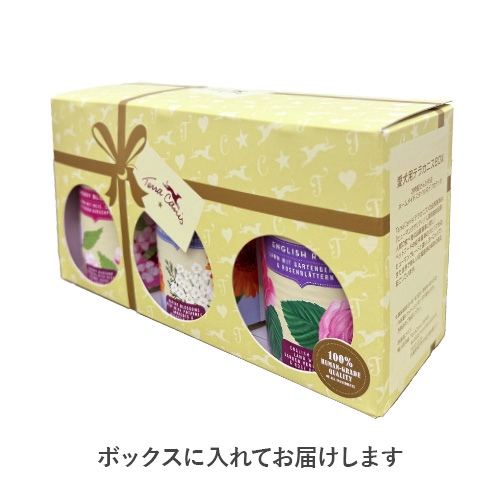 テラカニス フラワーギフトボックス【数量限定】