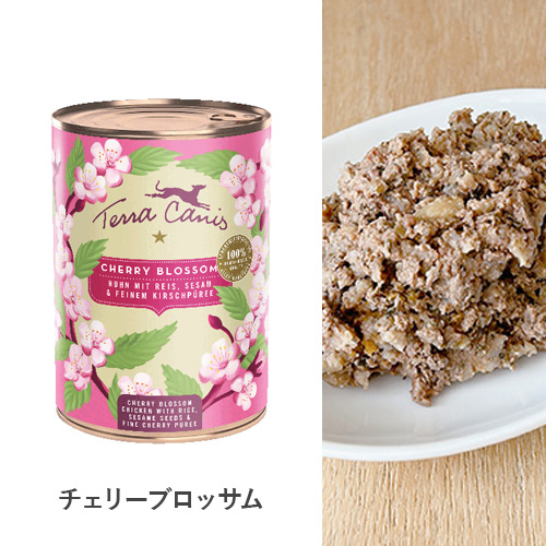 テラカニス フラワーギフトボックス【数量限定】