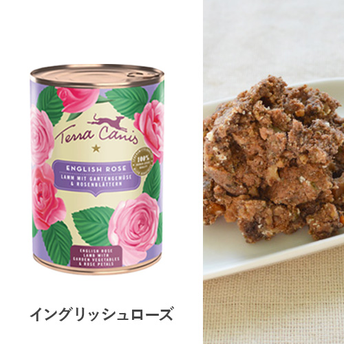 テラカニス フラワーギフトボックス【数量限定】