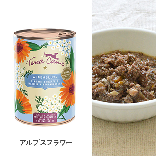 テラカニス フラワーギフトボックス【数量限定】