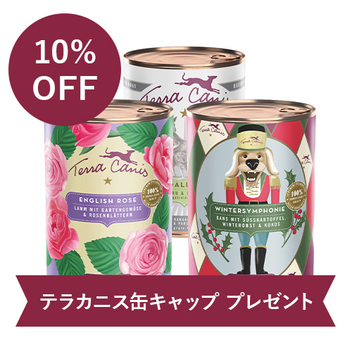 GREEN DOG & CAT限定　テラカニス　冬のぬくもりセット【数量限定】