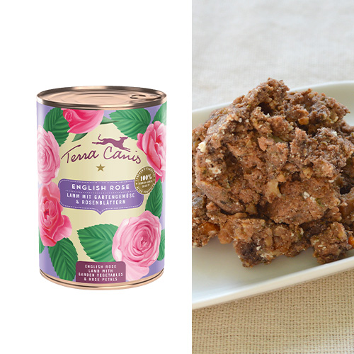 GREEN DOG & CAT限定　テラカニス　冬のぬくもりセット【数量限定】