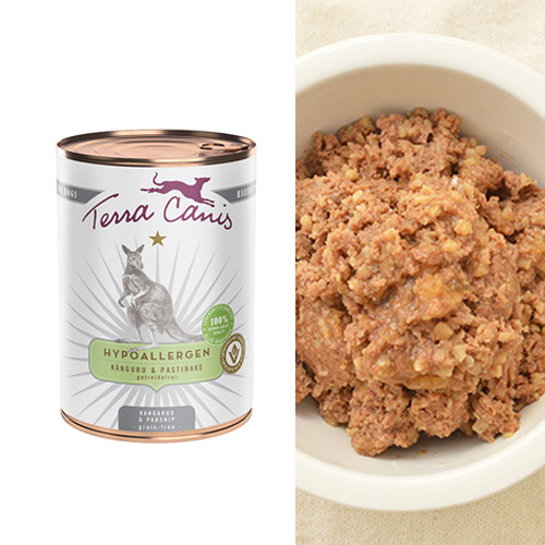 GREEN DOG & CAT限定　テラカニス　冬のぬくもりセット【数量限定】