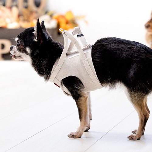 トトパル ソフトボディーハーネス【期間限定】