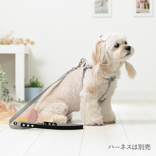 トトパル ソフトリード【期間限定】