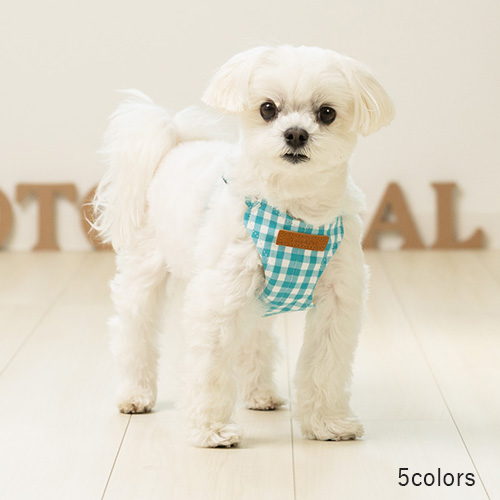 フィットハーネス