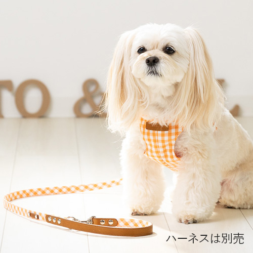 トトパル　マンチェスターリード【期間限定】