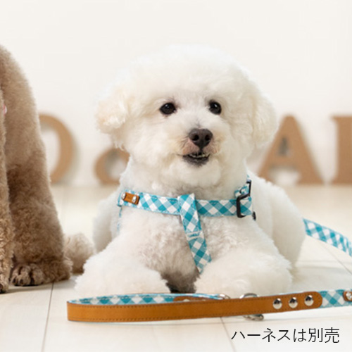 トトパル　マンチェスターリード【期間限定】