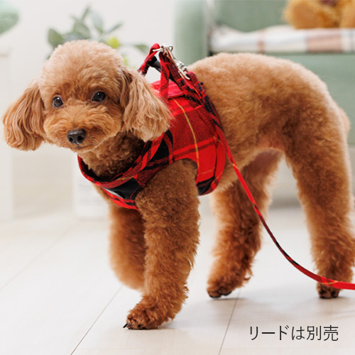 ボディハーネス