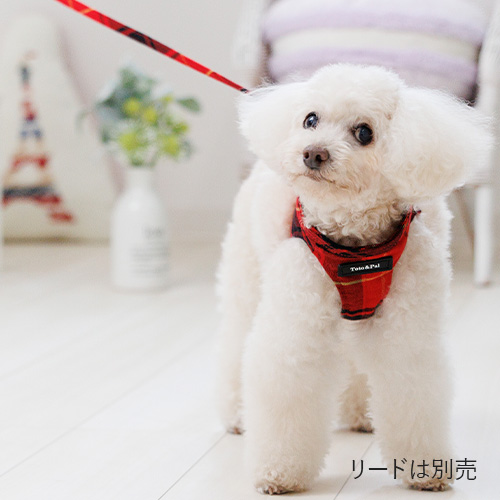 トトパル レティチェックボディーハーネス【期間限定】