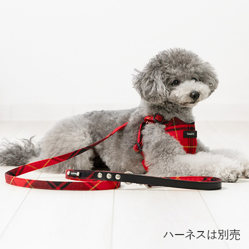 トトパル レティチェックリード【期間限定】